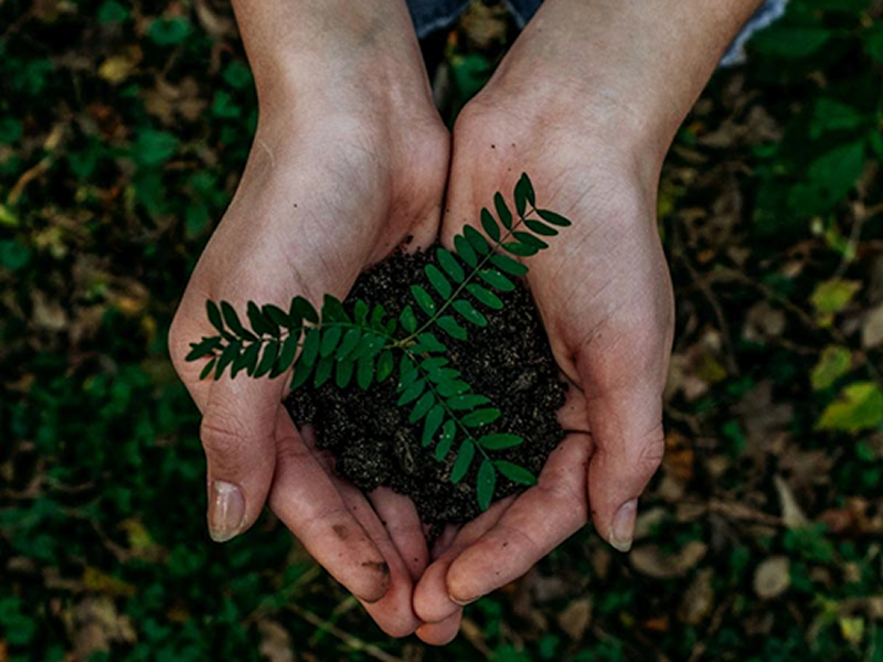 Sustainability img (1)